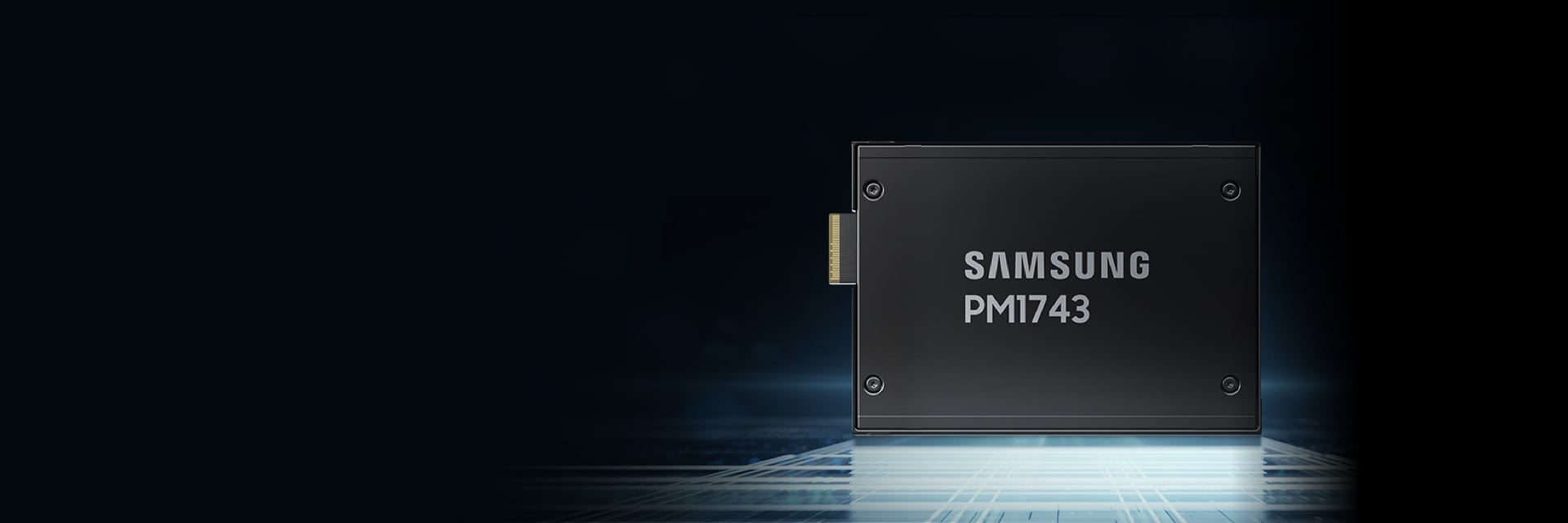 Samsung PM1743 manufacturer reference image
